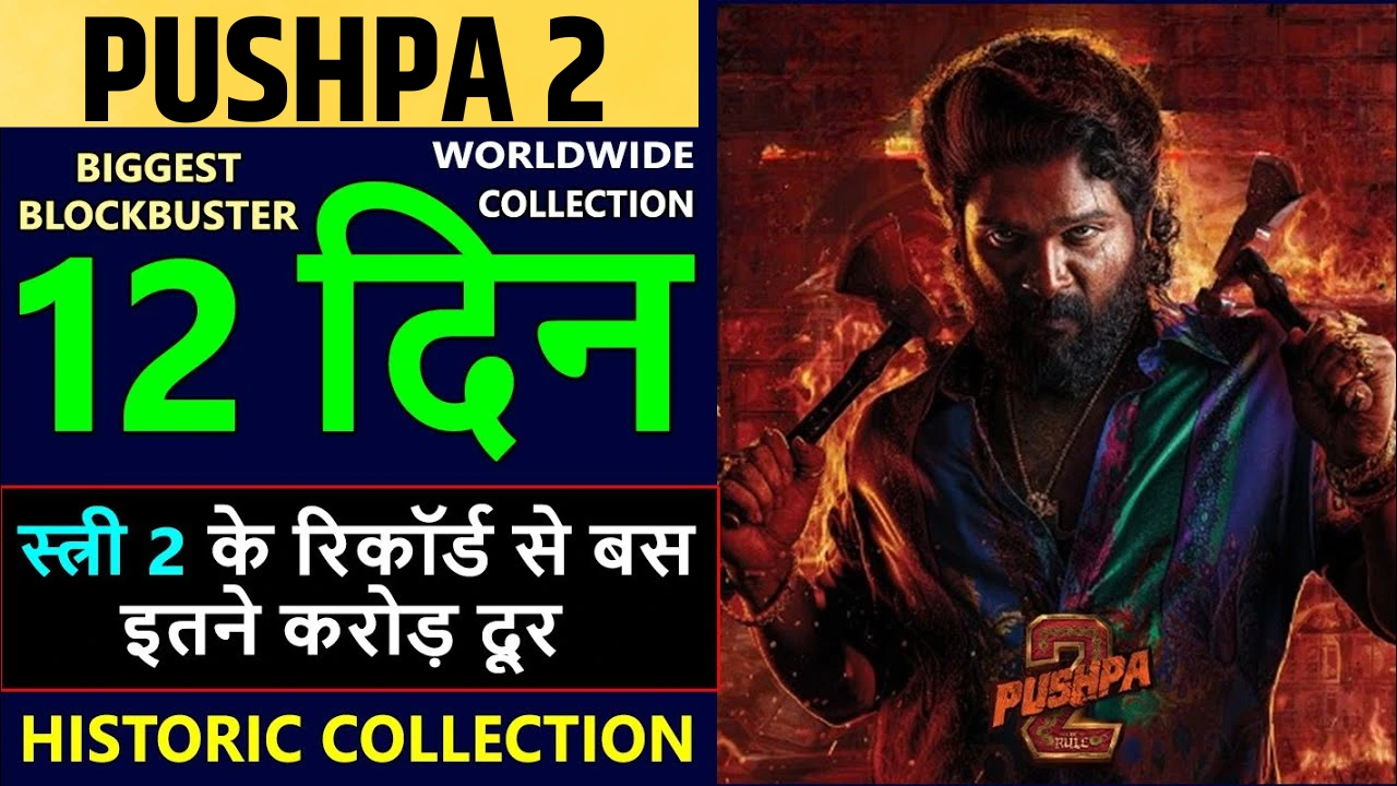 Pushpa 2 boxoffice collection