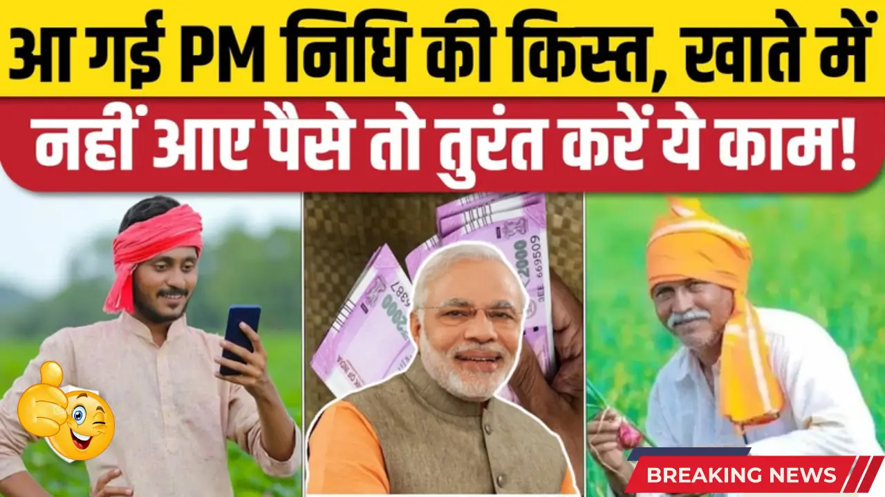 PM Kisan 19th Installment: Check ₹2000 Payment Status, How to Verify PM Kisan Payment Online